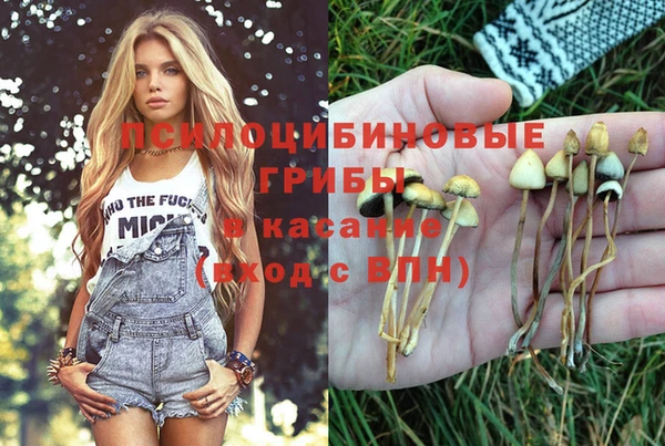 не бодяженный Алексин