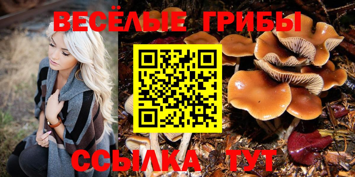 Галлюциногенные грибы мухоморы Биробиджан